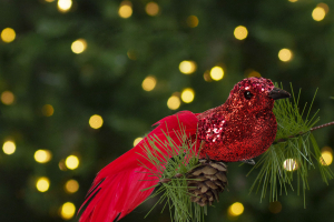 Karácsonyi dísz - csipeszes - glitteres madár - piros - 2 db / csomag