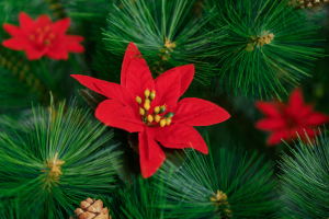 Karácsonyi dekoráció - mikulásvirág - 50 cm