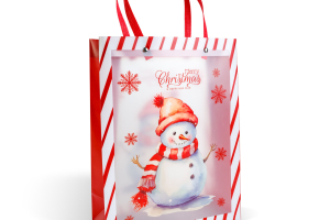 Karácsonyi ajándéktáska - 32 x 25 x 11 cm - 2 féle